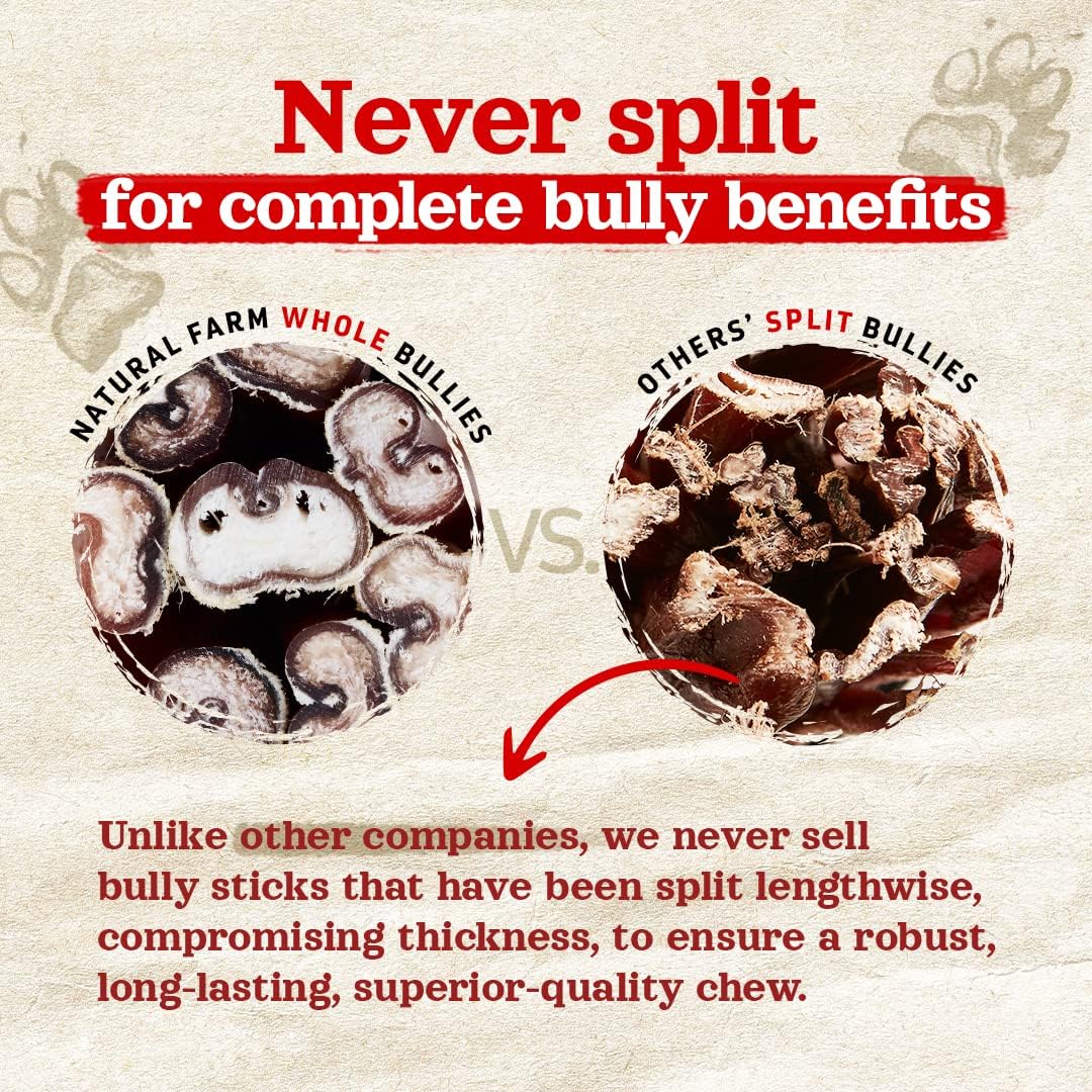Natural Farm Odor-Free Bully Sticks (6 Inch, 25 count),1.3 lb. Bag, Fully Digestible 100% Beef Pizzle Chews,Grass-Fed, Non-GMO,Grain-Free, Natural Long-Lasting Chews for Small & Large Dogs. Pack of 25