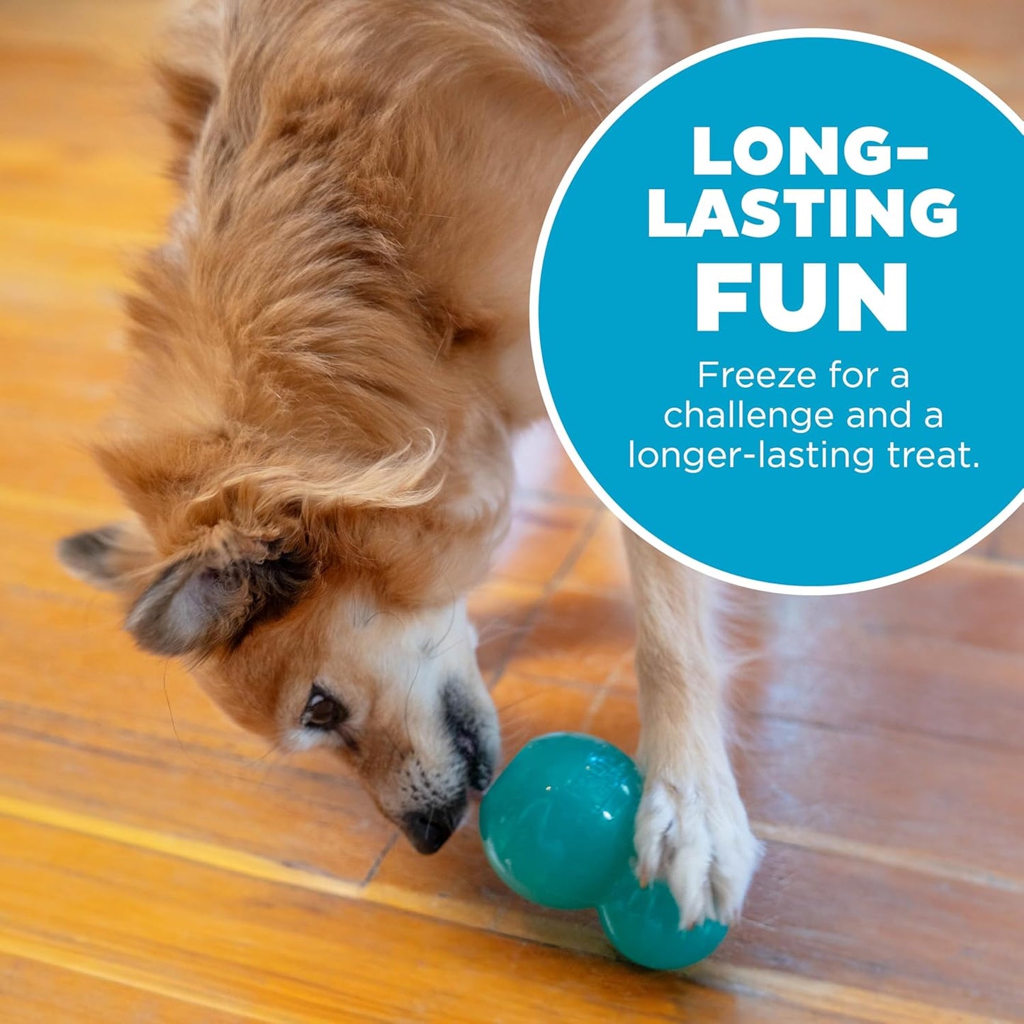 Outward Hound by Planet Dog Double-Tuff Interactive Treat-Dispensing Dog Toy, Medium, Blue