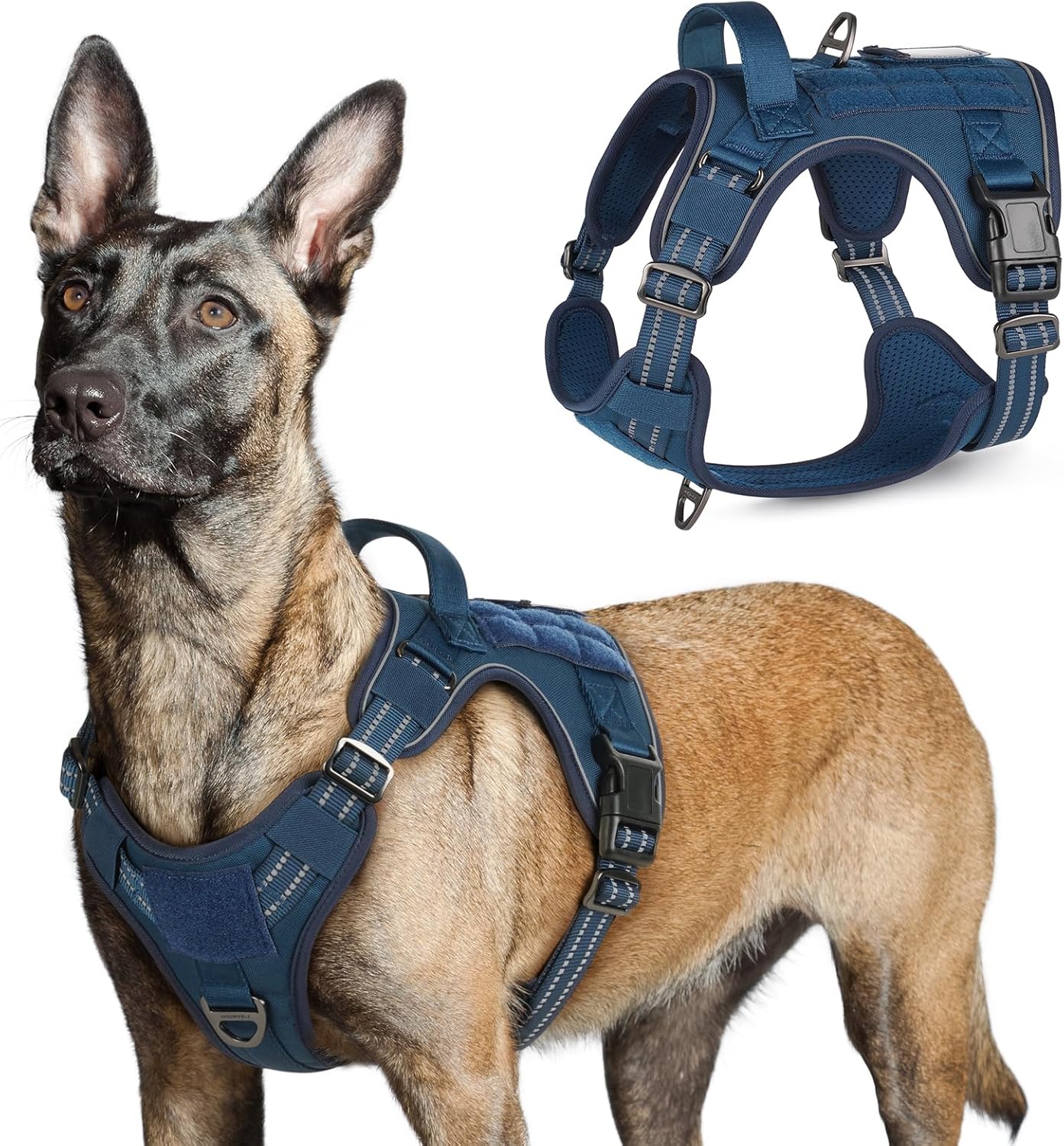 rabbitgoo Tactical Dog Harness for Large Dogs, No Pull Military Service Vest with Handle & Molle, Easy Control for Training Walking, Adjustable Reflective Straps, Blue, L