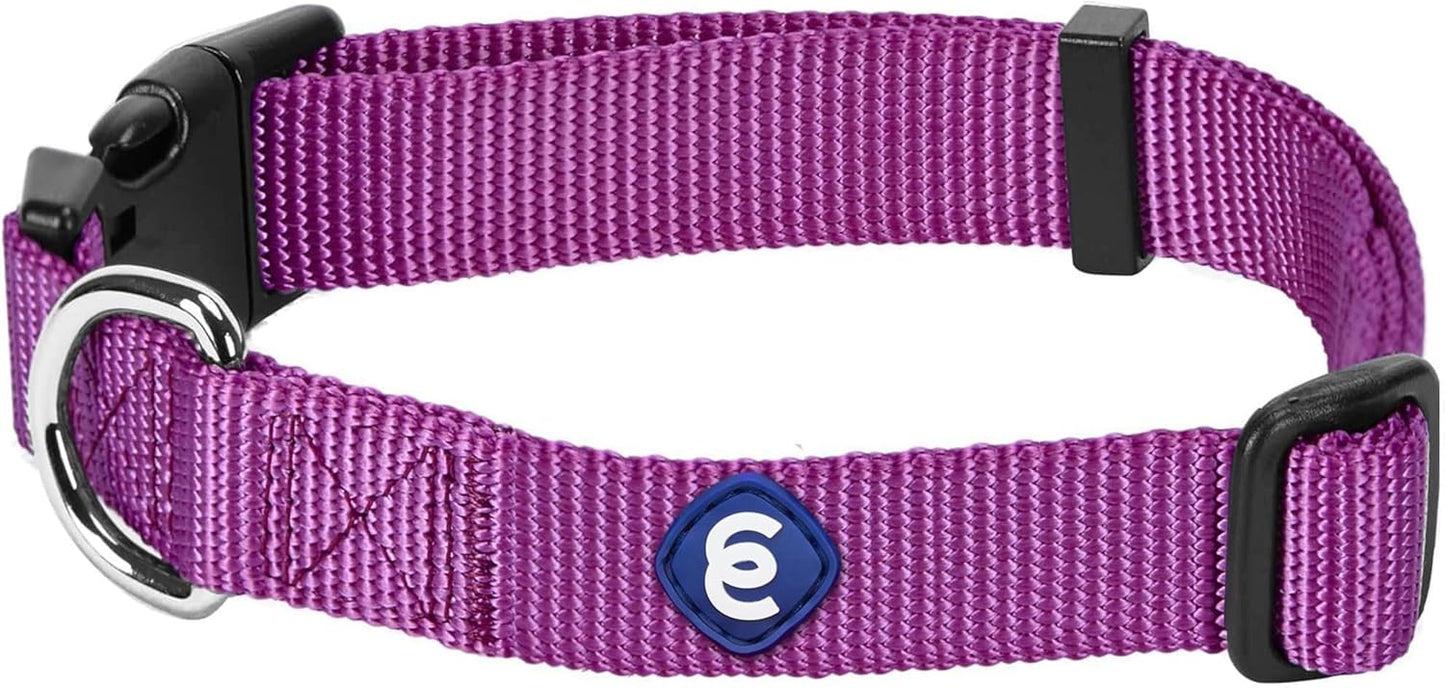 Blueberry Pet Essentials Matching Large Dog Collar | Adjustable Classic Solid Color Nylon Dog Collars for Large Dogs | Violet Dog Collar for Large Dogs