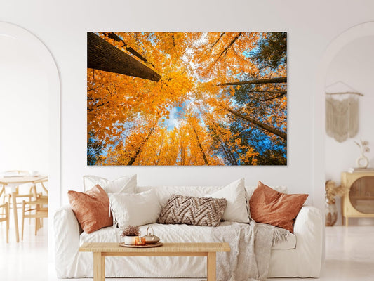 Nature Wall Art Prints - Ocean Forest Mountain Lake Canvas Landscapes - Small to Extra Large Living Room Bedroom Kitchen Bathroom Décor (Blue Sky Through Yellow Autumn Trees, 24L" x 36W")