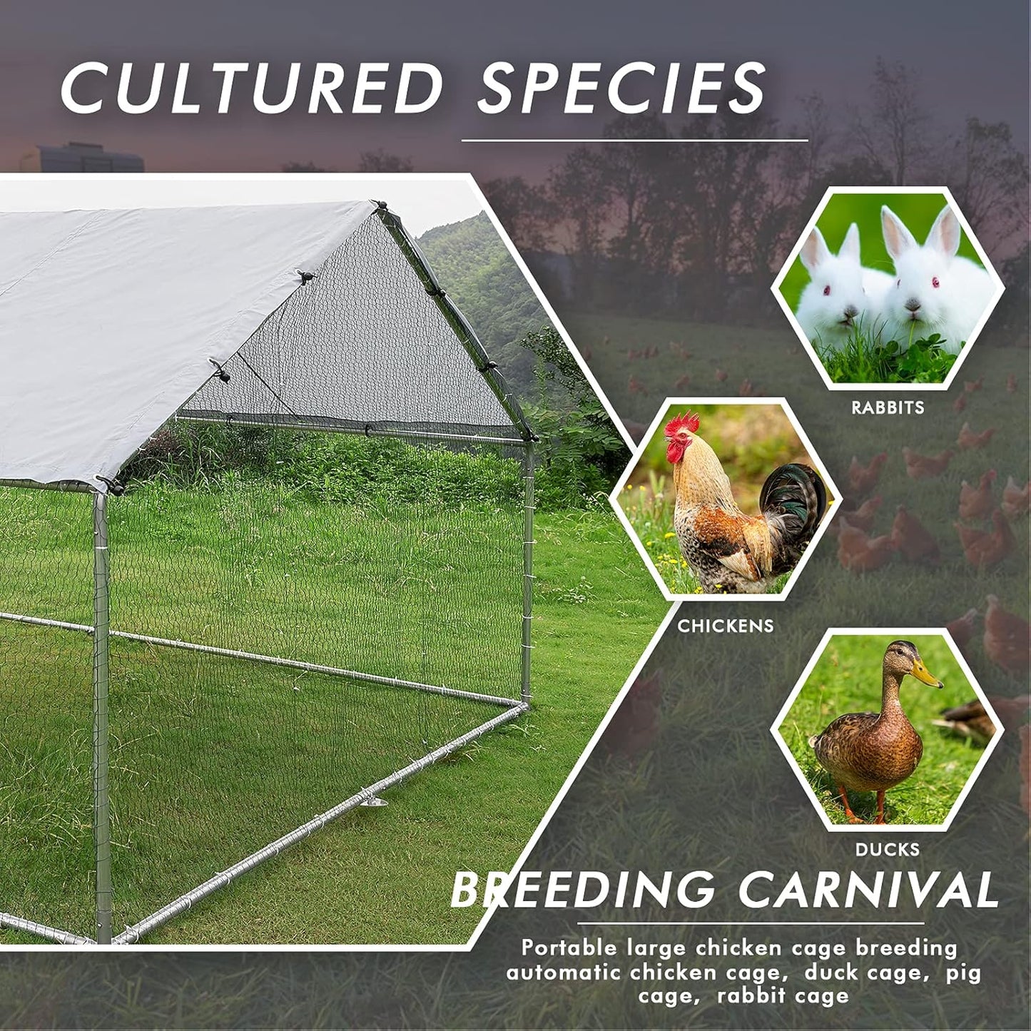 LEMBERI Metal Chicken Runs for Yard, Spire-roof Large Walk in Chicken coop cage for Outside,Galvanized Rabbits Duck Run and coops,Chicken Pen with Waterproof Cover for Outdoor,Backyard and Farm