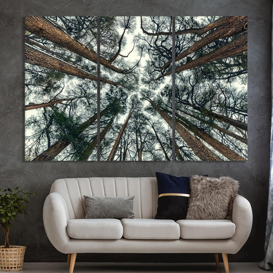 Nature Wall Art Prints - Ocean Forest Mountain Lake Canvas Landscapes - Small to Extra Large Living Room Bedroom Kitchen Bathroom Décor (Trees and Sky, 47L" x 71W" - 3 panels)