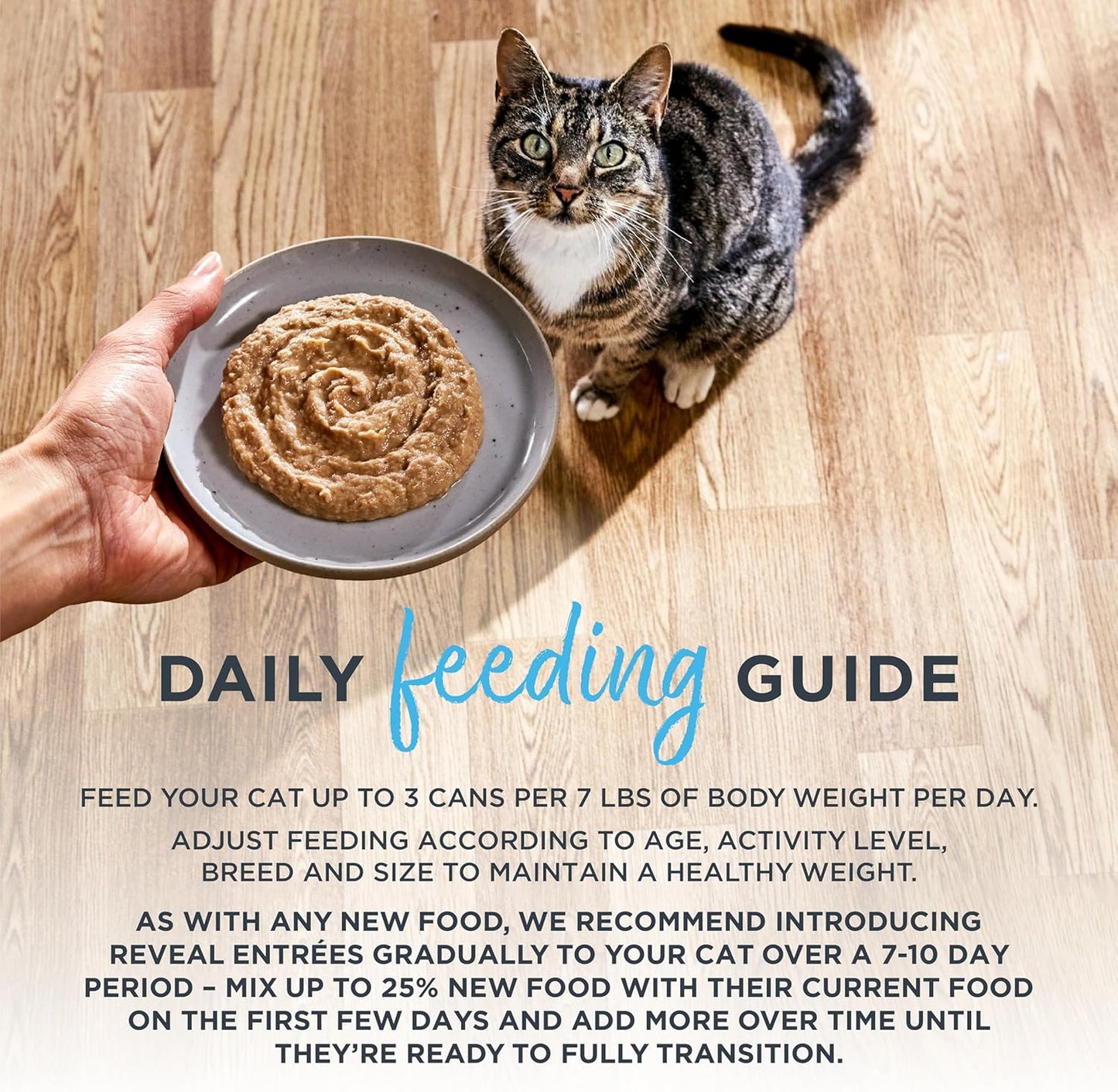 Reveal Entrées Natural Wet Cat Food Paté, Grain-Free with Added Vitamins & Minerals, Carrageenan-Free Tuna Fillet with Salmon Paté Recipe (24 x 2.47 oz Cans)
