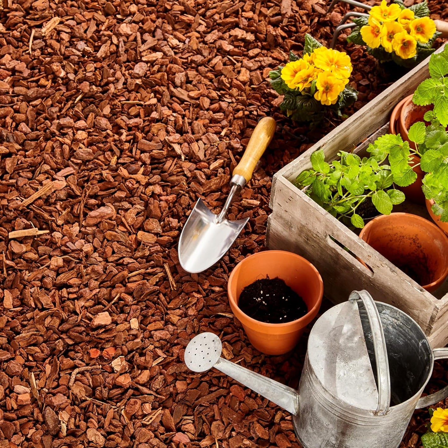 Premium Pine Bark Nuggets – Pine Bark Mulch for Gardens, Landscaping, Potted Plants, and Wood Chips for Garden Beds (0.7 CF - 20 L - 21 QTS)