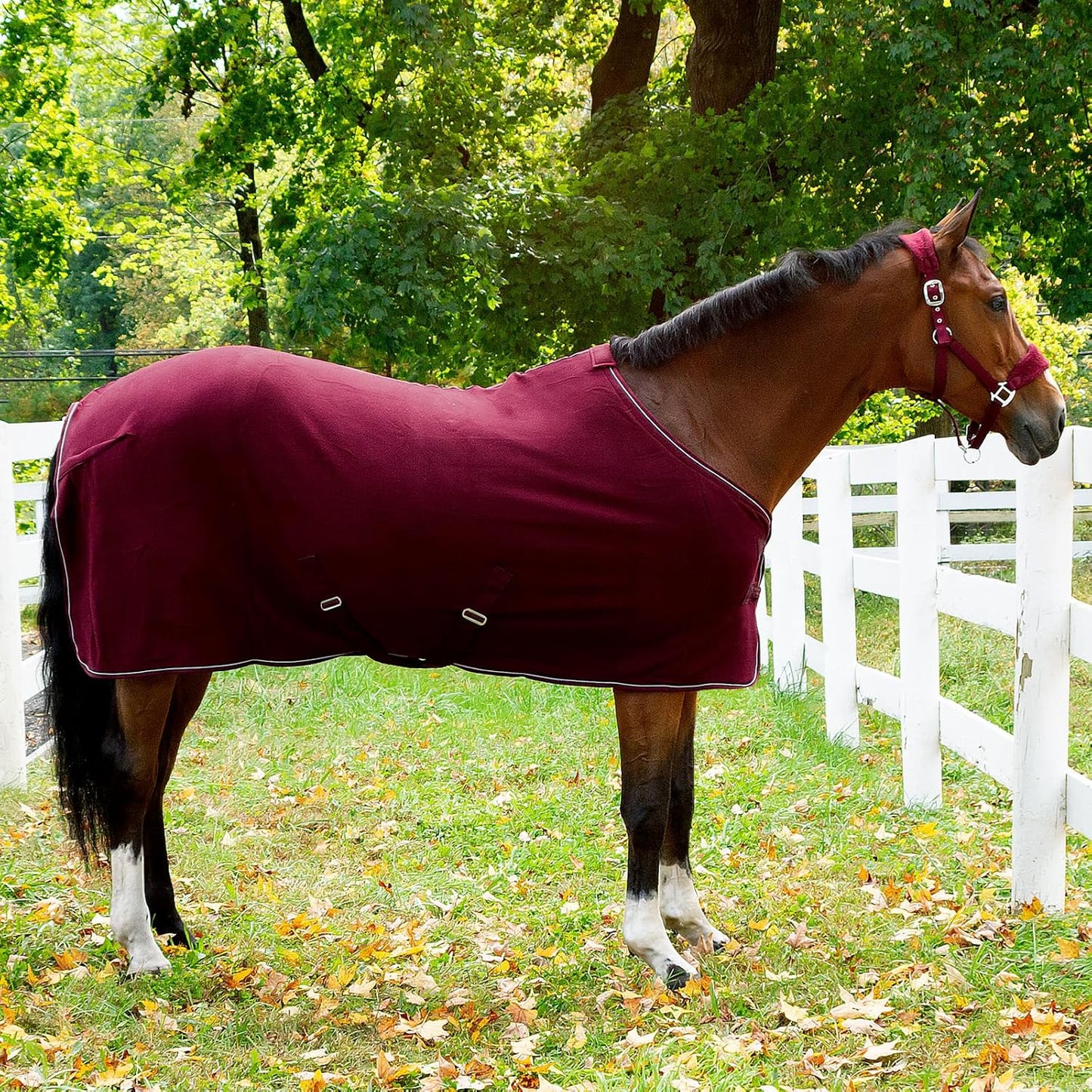 HORZE Kiel Adjustable Horse Halter with Fleece Padding - Dark Red - Cob
