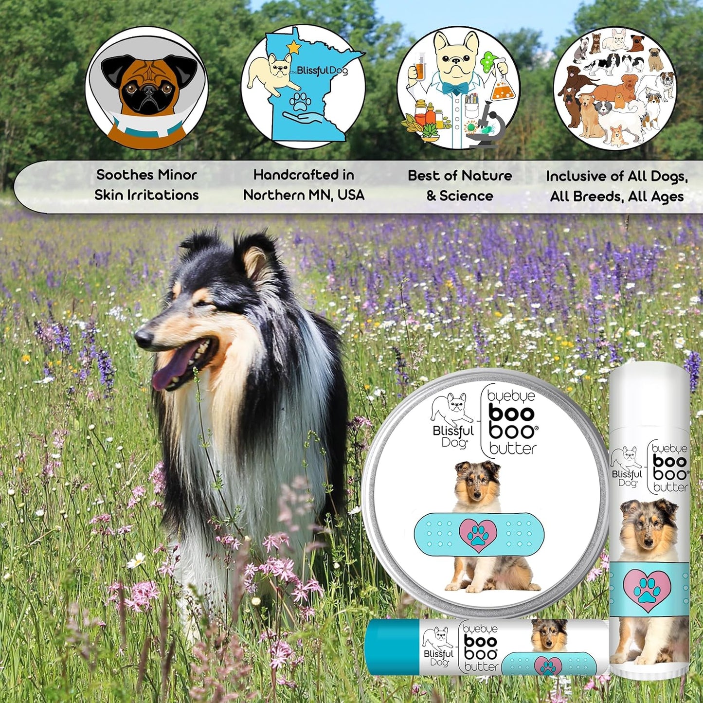 The Blissful Dog 8 oz TIN Collie Booboo Butter