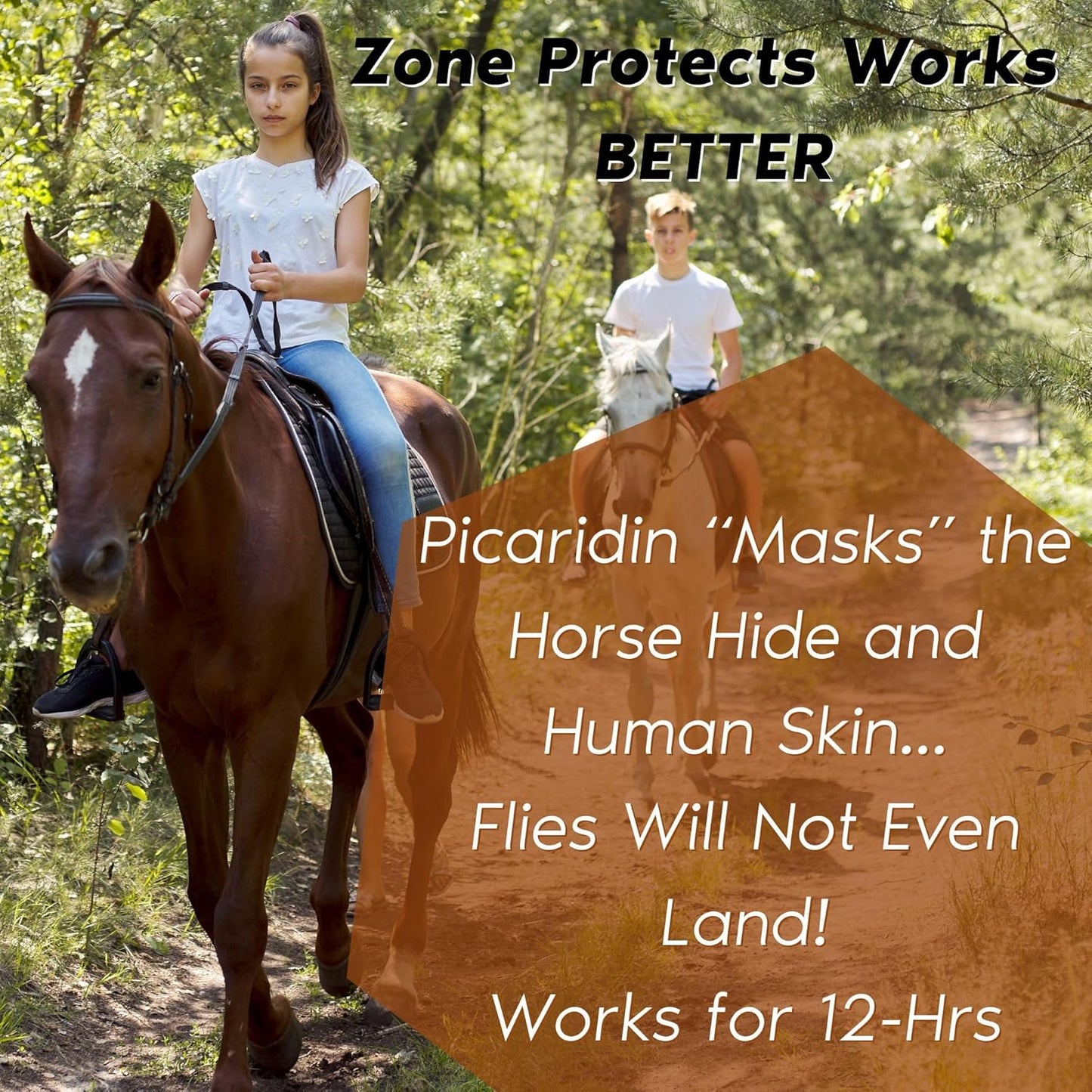 Horse & Rider Fly/Insect Repellent Starter Pack; Picaridin Based 10oz Continuous Spray, 32oz Refill, 80-Count Face/Ear Wipes