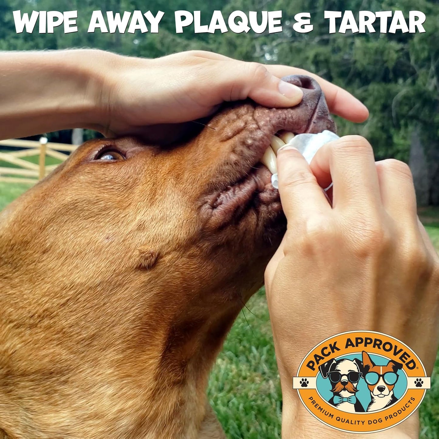 Dental Wipes for Dogs - Dog Teeth Wipes for Oral Care, Tartar and Plaque Remover - Cleans and Freshens Breath for Dogs with Fresh Apple & Mint Scent - Dog Teeth Cleaning Pads – 100 Count