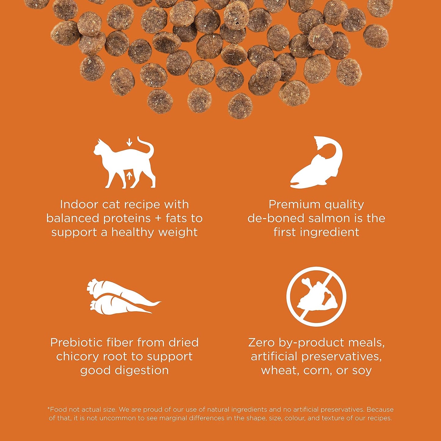 Go! Solutions Skin + Coat Care, Grain-Free Dry Cat Food, Salmon Recipe, 8 lb Bag