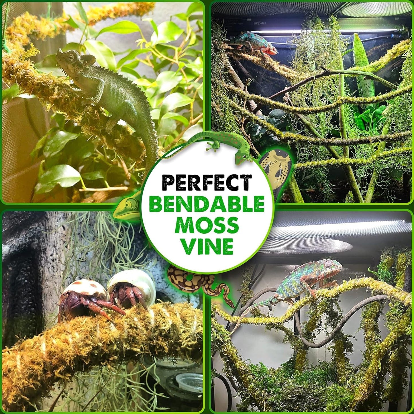 Duspro 10FT Reptile Vines for Climbing Bendable Branch for Reptile Natural Moss Rope Jungle Decor for Bearded Dragon, Chameleon Tank Accessories, Snake Gecko Lizard Terrarium
