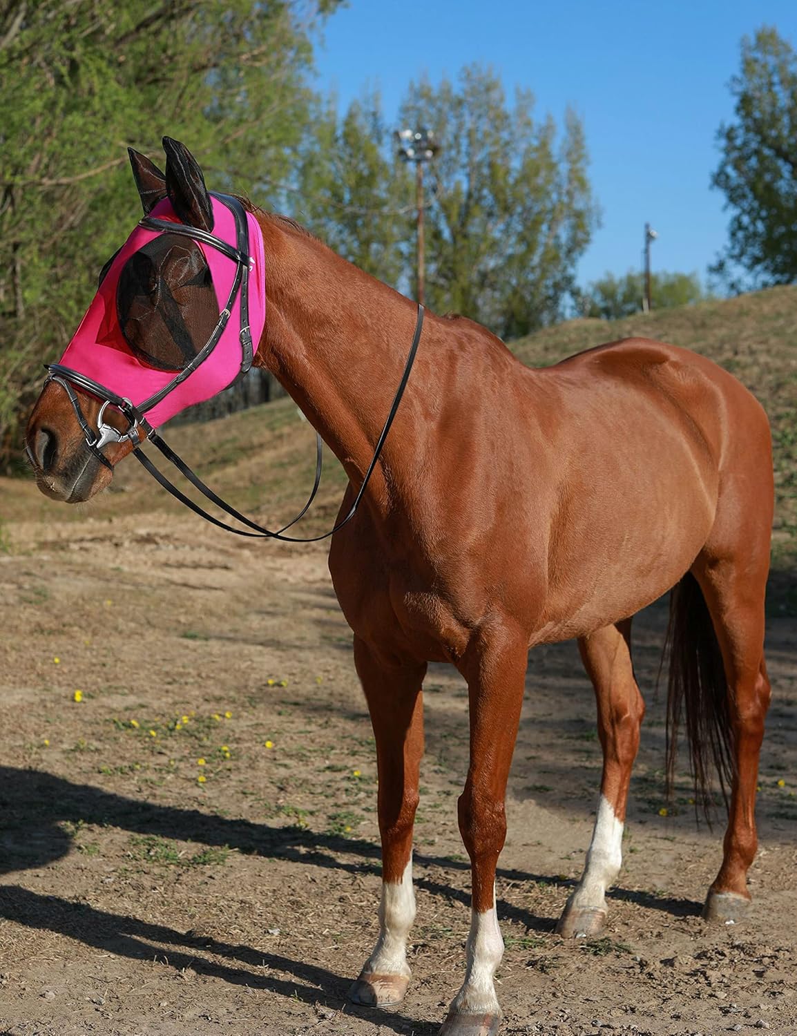 Horse Fly Mask with Ears, UV Protection Mask for Horses, Elasticity Mask with Big Mesh Eye Covers, Snug Fitting Comfortable Breathable Lightweight Hot Pink Cob
