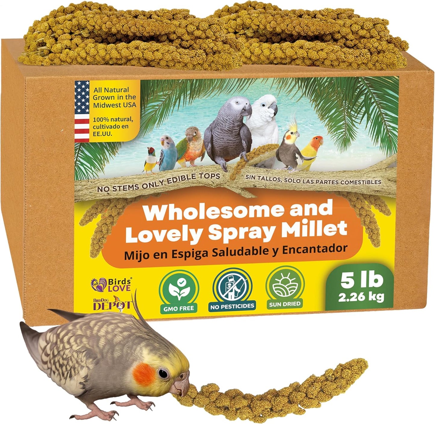 Birds LOVE Wholesome & Lovely Spray Millet Non-GMO (No Stems Only Edible Tops) for Parrots Birds Cockatiel Lovebird Parakeets Finch Canary All Parrots Healthy Treat - 5lbs