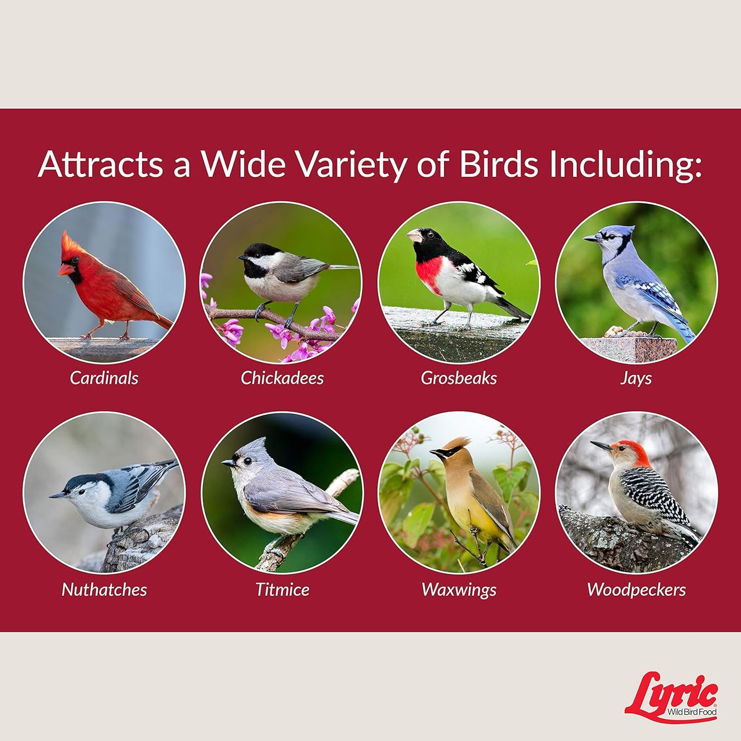 Lyric Fruit and Nut Wild Bird Seed - High Energy Wild Bird Food Mix - Attracts Woodpeckers, Chickadees & Other Songbirds - 10 lb. (pack of 2 - 5 lb bags)