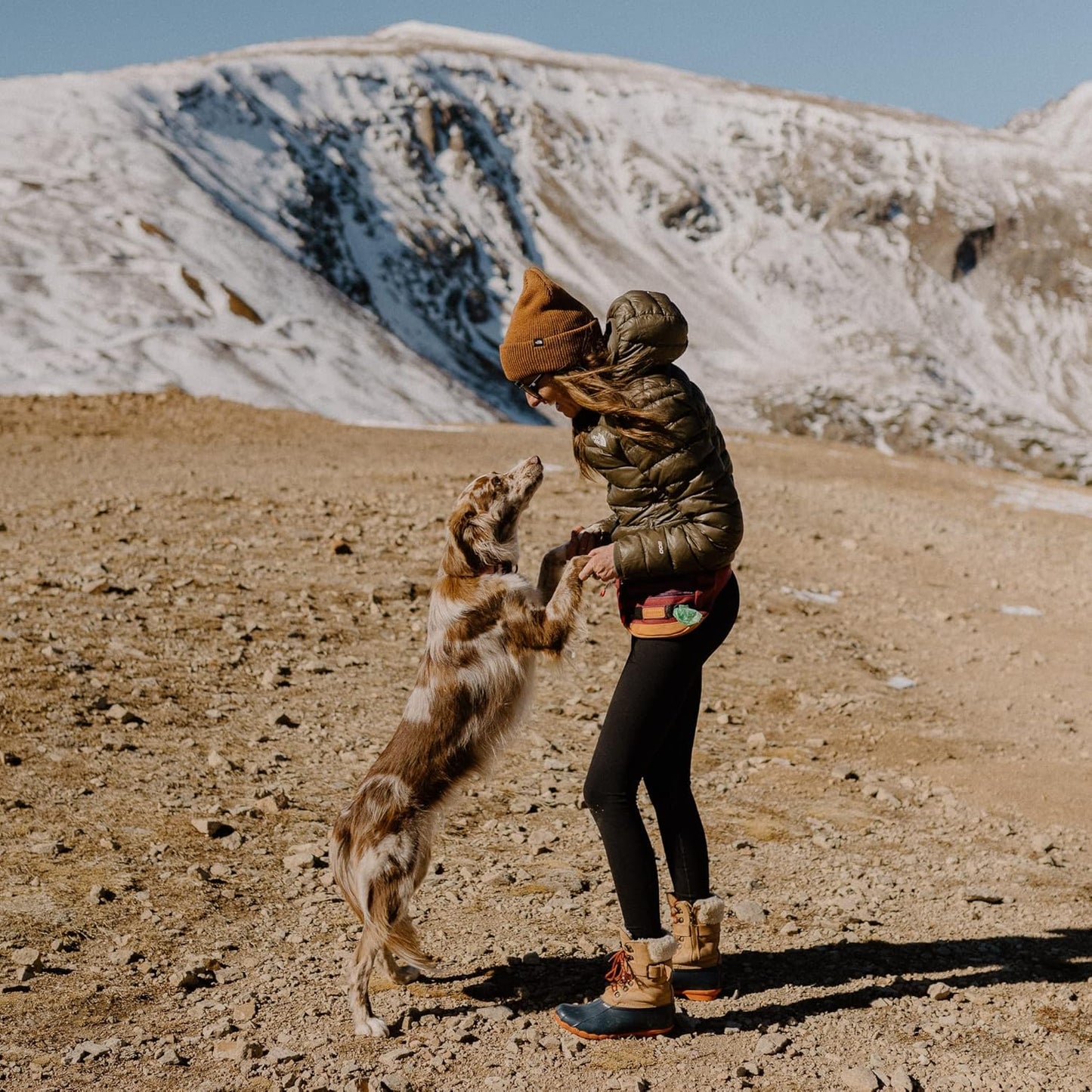 Wilderdog Utility Fanny Pack stores Treats, Balls, Keys in 3 Pockets with adjustable strap and Poop Bag dispenser (Huckleberry)