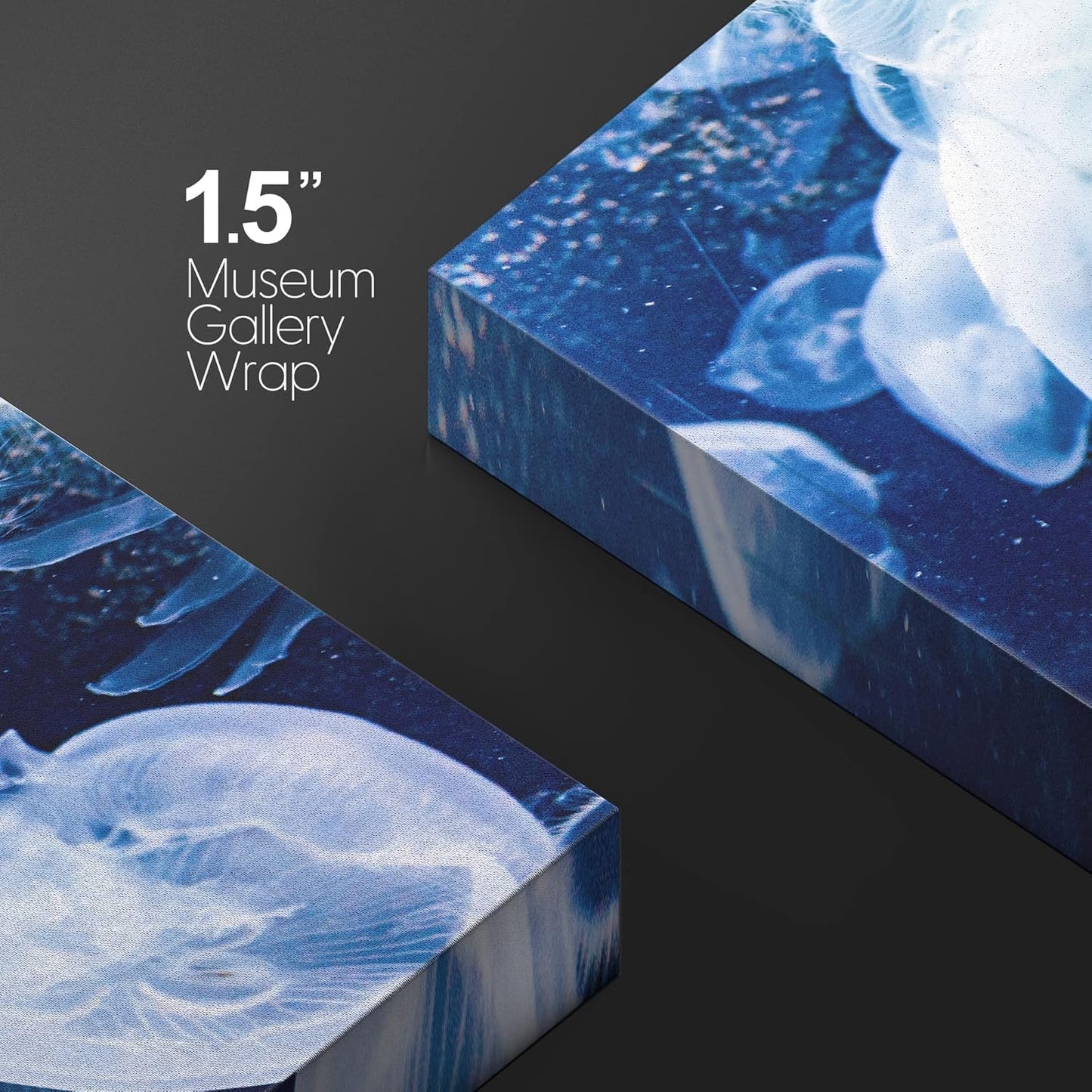 wall26 Canvas Print Wall Art Translucent X-Ray Tropical Ocean Jellyfish Nature Animals Photography Realism Rustic Scenic Landscape Wilderness Earth for Living Room, Bedroom, Office - 32"x48"