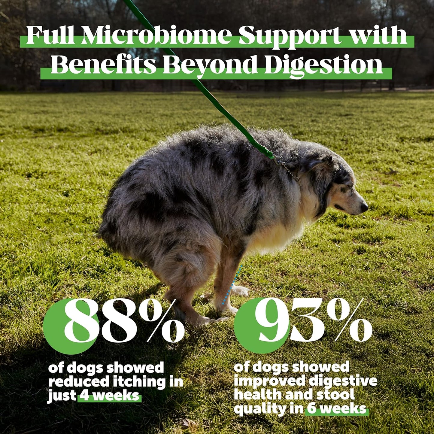 Max Strength Probiotics for Dogs - Super Pooper Dog Stool Hardener with Fiber & Digestive Enzymes, Reduce Occasional Diarrhea for Firm Perfect Poops (90 Ct)