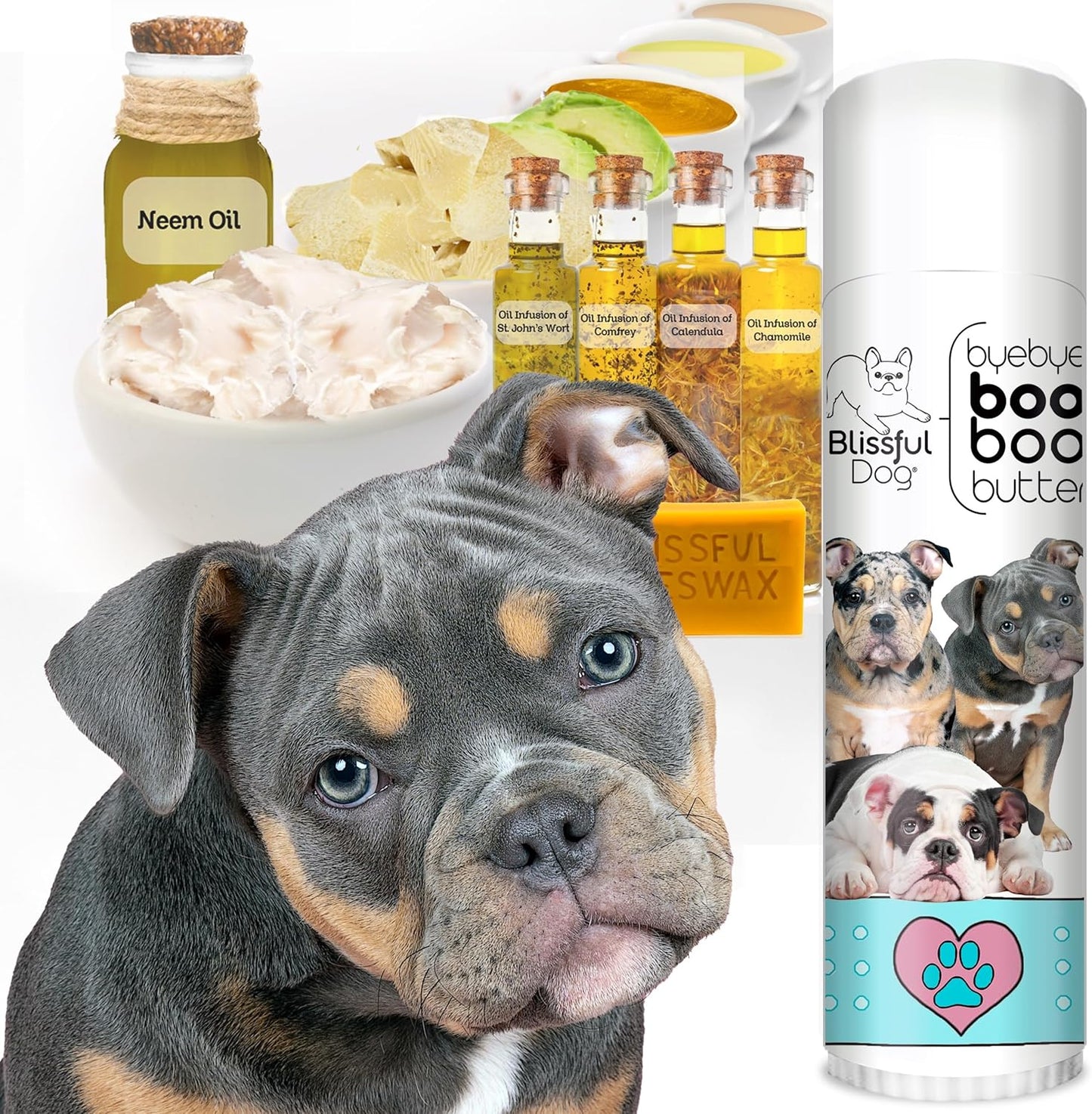 The Blissful Dog .50 oz Tube Olde ENGLISHE Bulldogge Booboo Butter