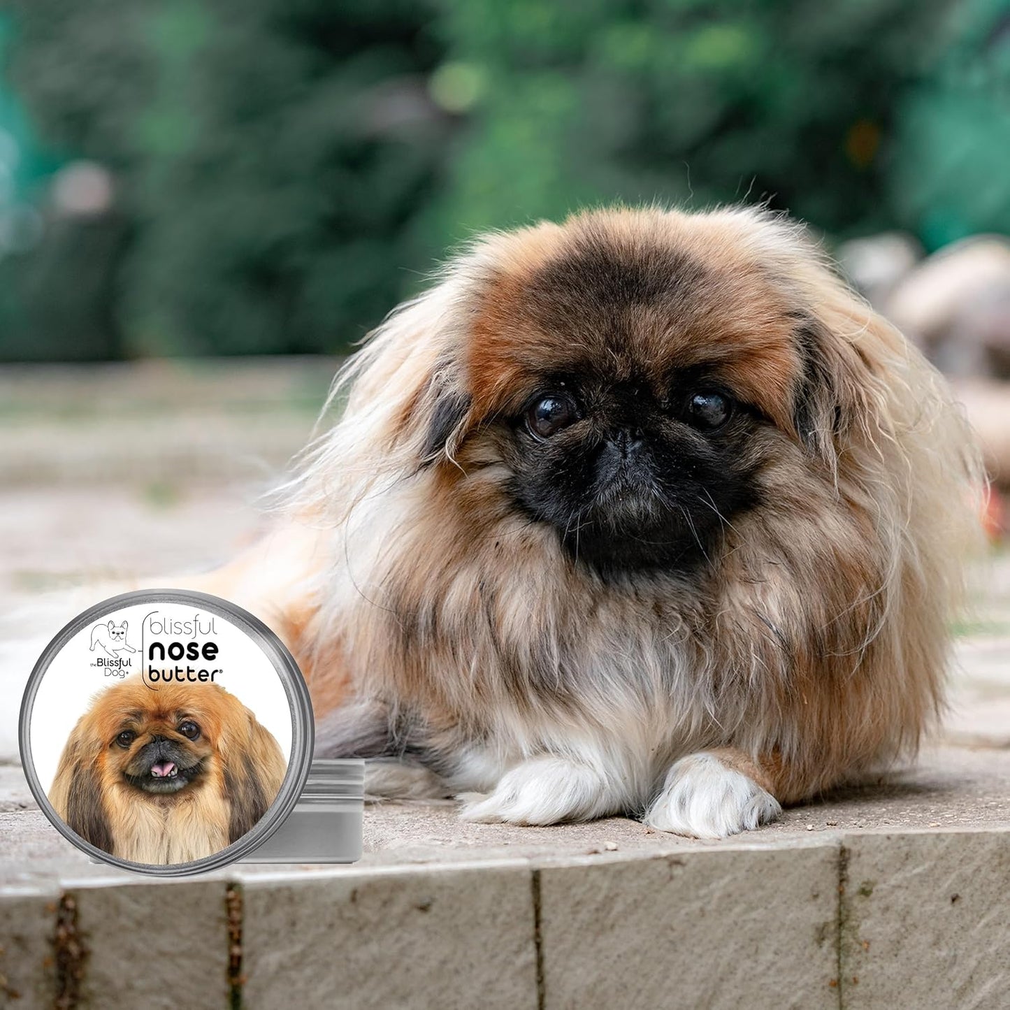 The Blissful Dog Pekingese Unscented Nose Butter - Dog Nose Butter, 2 Ounce