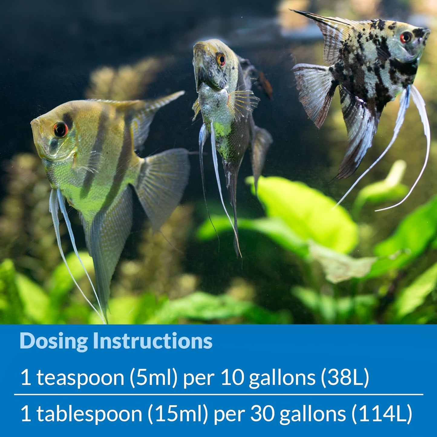 API STRESS COAT Aquarium Water Conditioner 4-Ounce Bottle (85B)