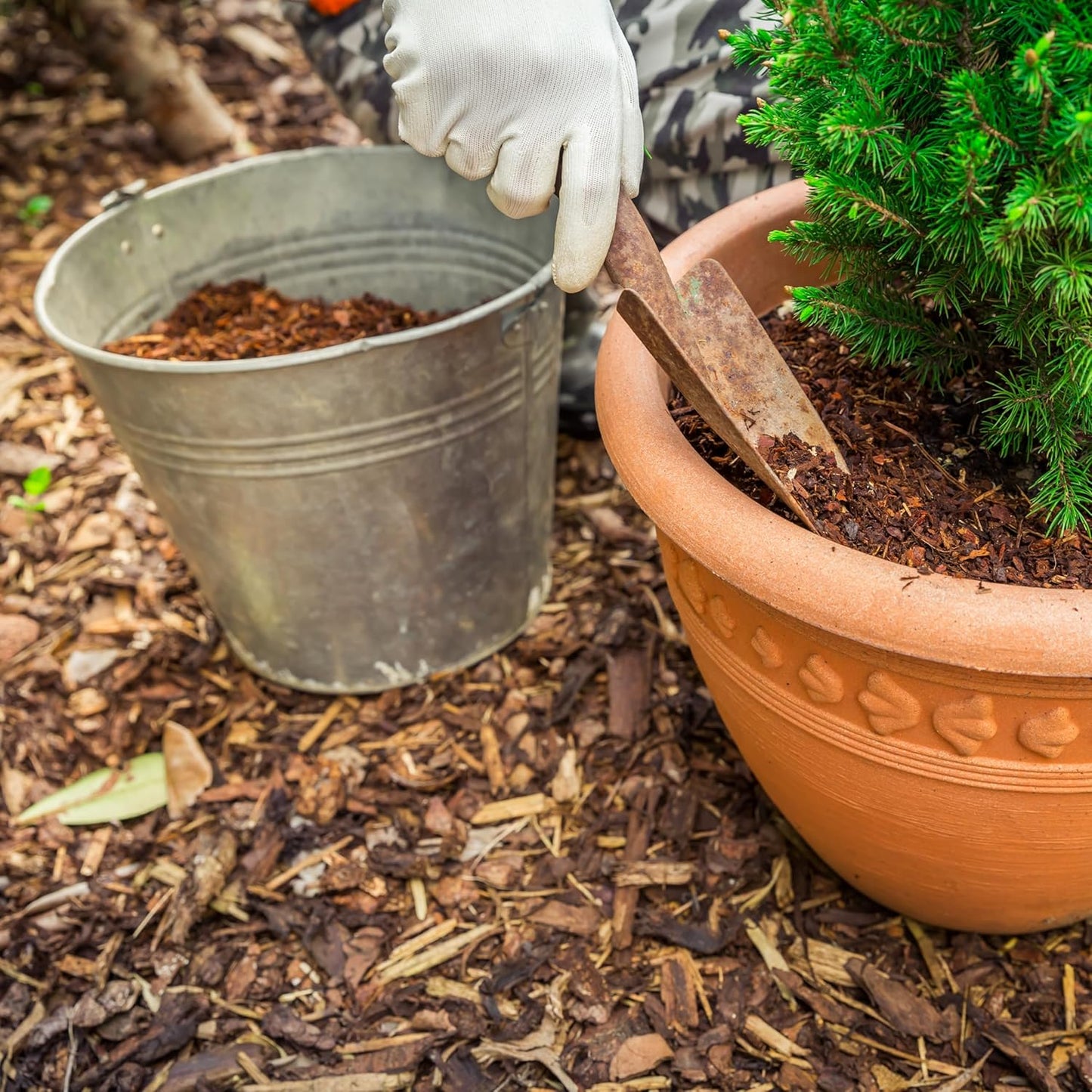 Premium Eucalyptus Wood Mulch for Indoor, Patio, Potting Media, Gardens, Lawns, and Landscaping (2 CF - 56 L - 59 QTS)